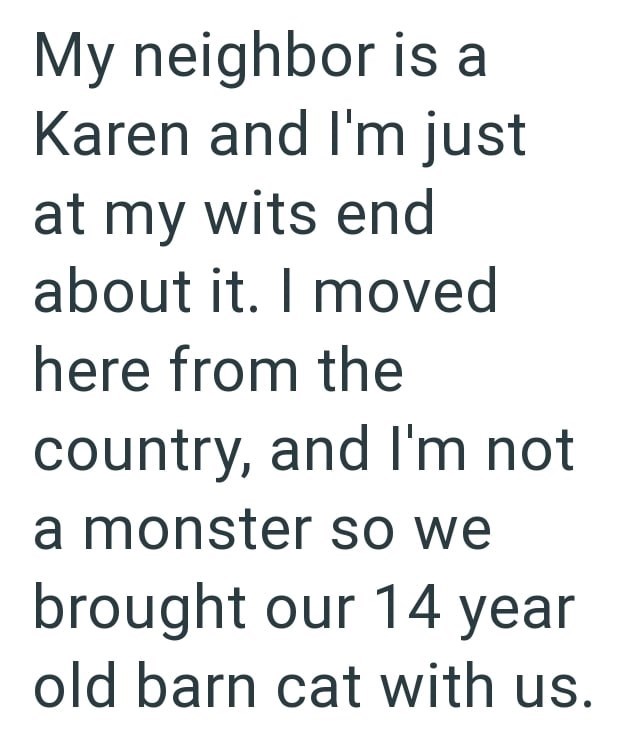 My neighbor is a Karen and I'm just at my wits end about it. I moved here from the country, and I'm not a monster so we brought our 14 year old barn cat with us.