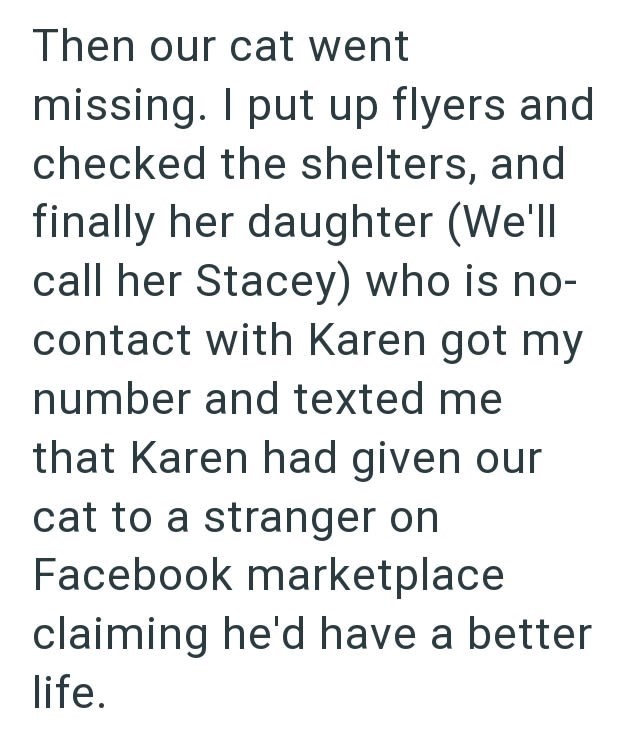 Then our cat went missing. I put up flyers and checked the shelters, and finally her daughter (We'll call her Stacey) who is no- contact with Karen got my number and texted me that Karen had given our cat to a stranger on Facebook marketplace claiming he'd have a better life.