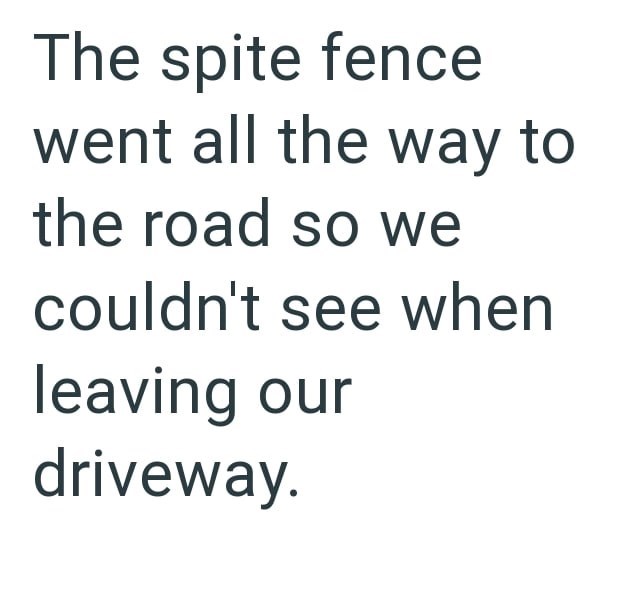 The spite fence went all the way to the road so we couldn't see when leaving our driveway.
