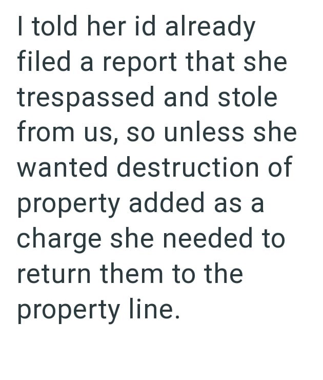 I told her id already filed a report that she trespassed and stole from us, so unless she wanted destruction of property added as a charge she needed to return them to the property line.