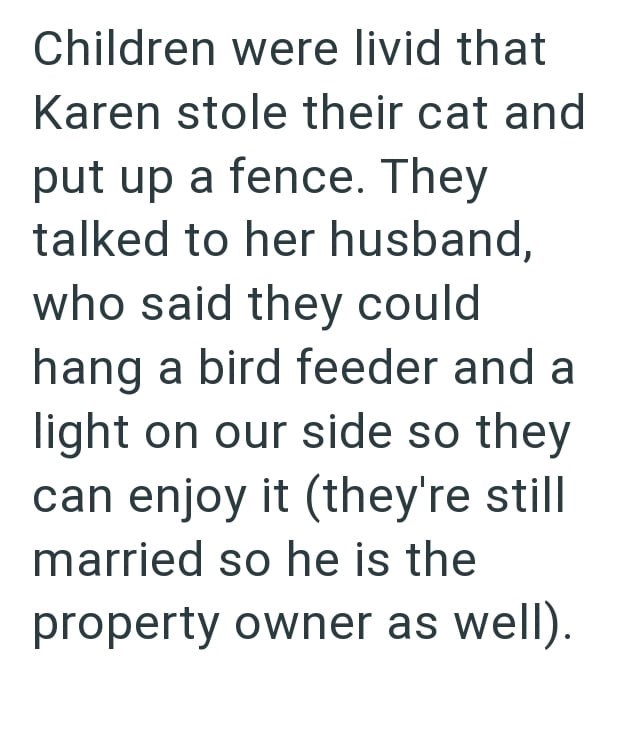 Children were livid that Karen stole their cat and put up a fence. They talked to her husband, who said they could hang a bird feeder and a light on our side so they can enjoy it (they're still married so he is the property owner as well).
