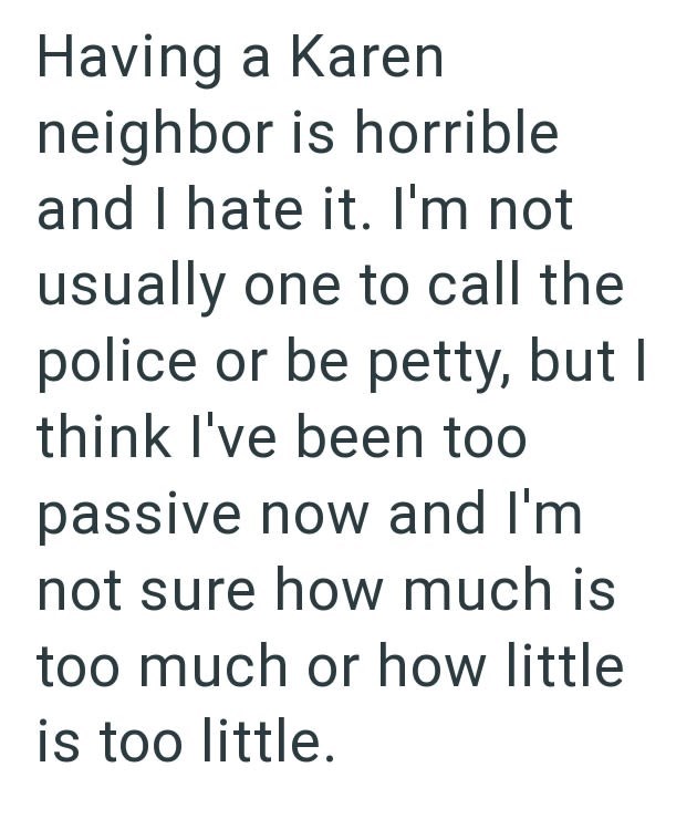 Having a Karen neighbor is horrible and I hate it. I'm not usually one to call the police or be petty, but I think I've been too passive now and I'm not sure how much is too much or how little is too little.