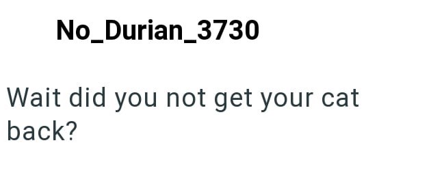 No_Durian_3730 Wait did you not get your cat back?