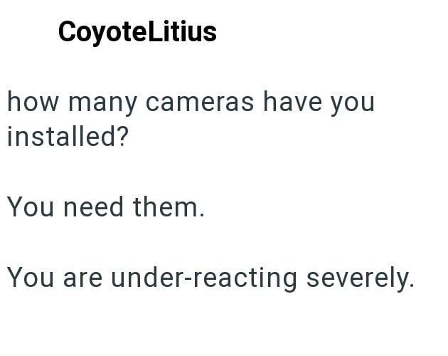 Coyote Litius how many cameras have you installed? You need them. You are under-reacting severely.