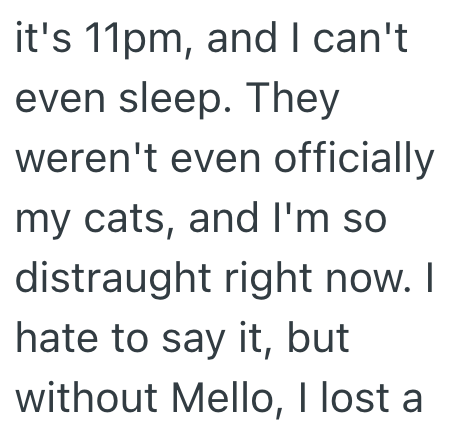 it's 11pm, and I can't even sleep. They weren't even officially my cats, and I'm so distraught right now. I hate to say it, but without Mello, I lost a