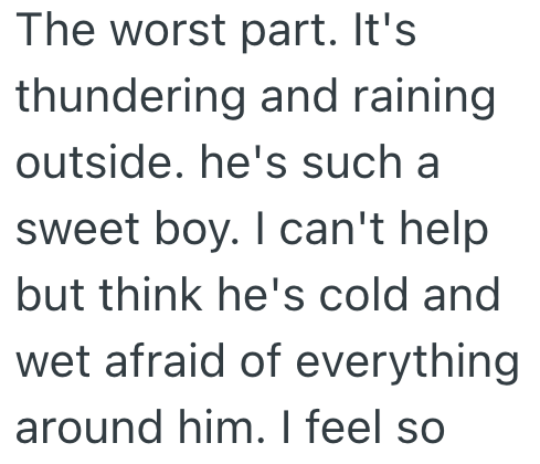 The worst part. It's thundering and raining outside. he's such a sweet boy. I can't help but think he's cold and wet afraid of everything around him. I feel so