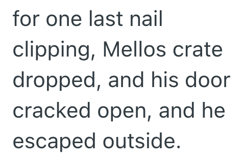 for one last nail clipping, Mellos crate dropped, and his door cracked open, and he escaped outside.
