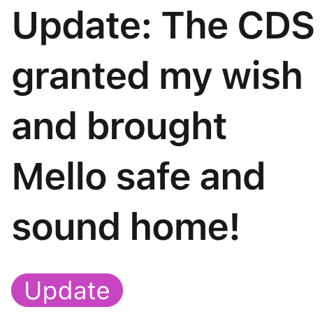 Update: The CDS granted my wish and brought Mello safe and sound home! Update