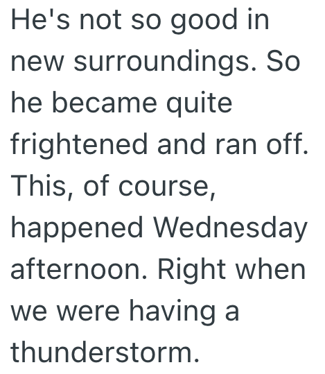 He's not so good in new surroundings. So he became quite frightened and ran off. This, of course, happened Wednesday afternoon. Right when we were having a thunderstorm.