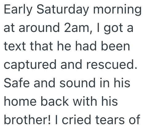 Early Saturday morning at around 2am, I got a text that he had been captured and rescued. Safe and sound in his home back with his brother! I cried tears of