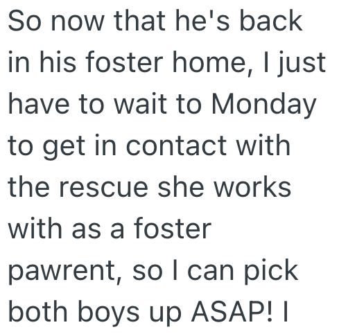So now that he's back in his foster home, I just have to wait to Monday to get in contact with the rescue she works with as a foster pawrent, so I can pick both boys up ASAP! I