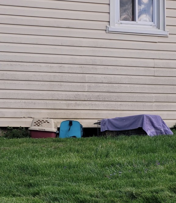 Cheezburger Image 10621883904