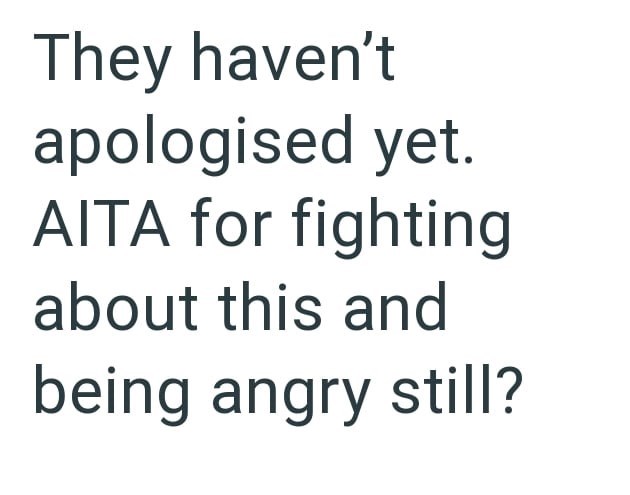They haven't apologised yet. AITA for fighting about this and being angry still?