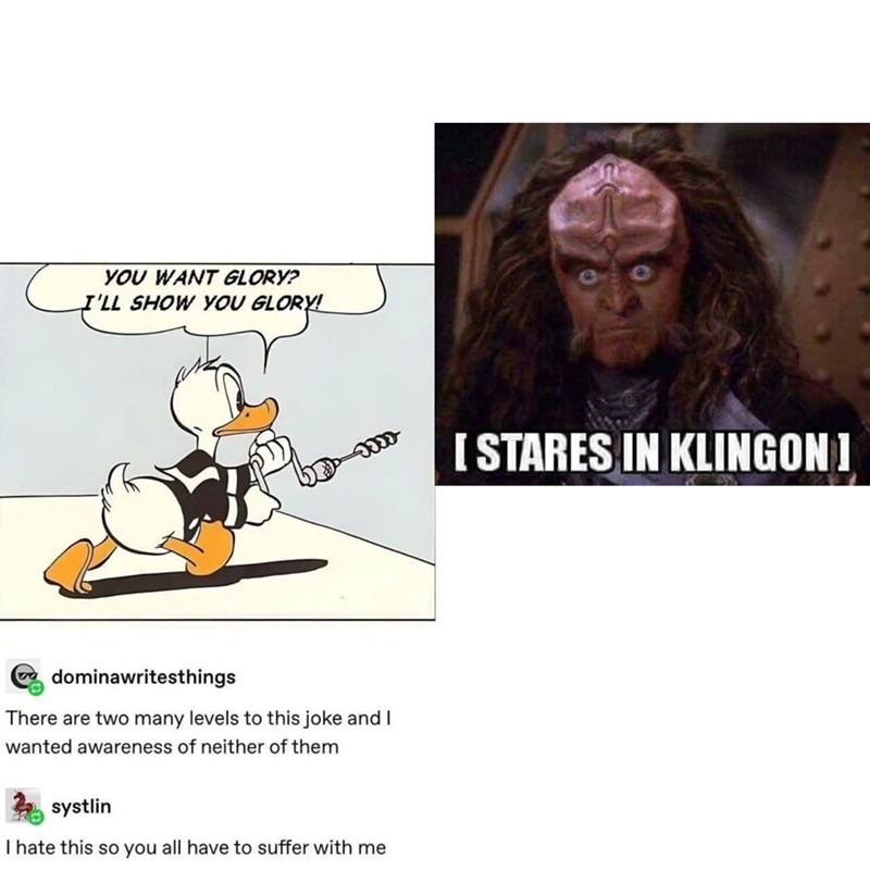 YOU WANT GLORY? I'LL SHOW YOU GLORY! GLORY! dominawritesthings There are two many levels to this joke and I wanted awareness of neither of them systlin I hate this so you all have to suffer with me [ STARES IN KLINGON ]