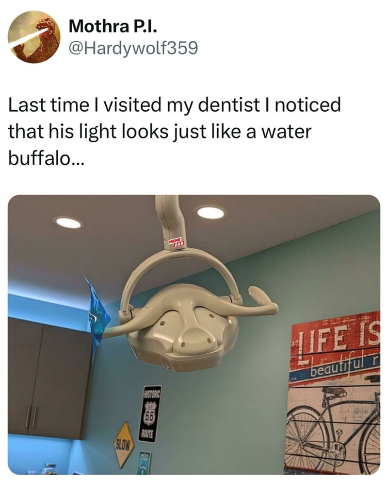 Mothra P.I. @Hardywolf359 Last time I visited my dentist I noticed that his light looks just like a water buffalo... HISTORIC LIFE IS beautiful SLOW ROUTE MORY