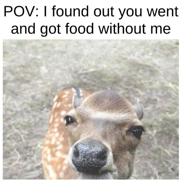 POV: I found out you went and got food without me