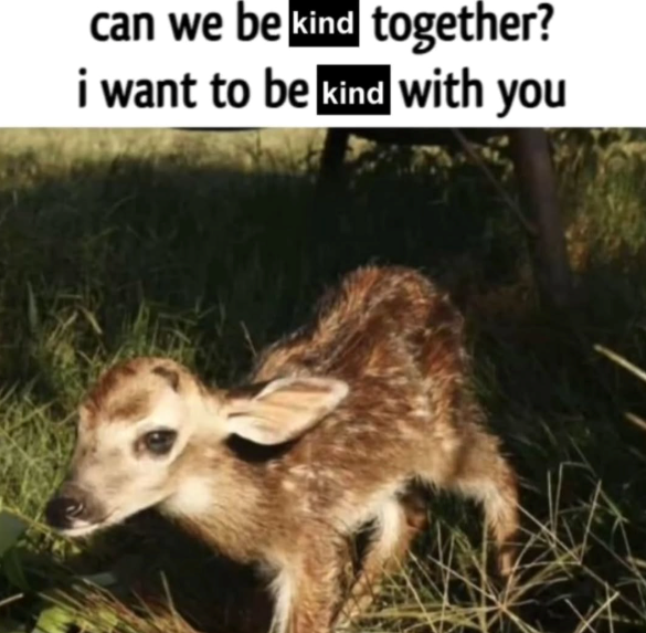 can we be kind together? i want to be kind with you