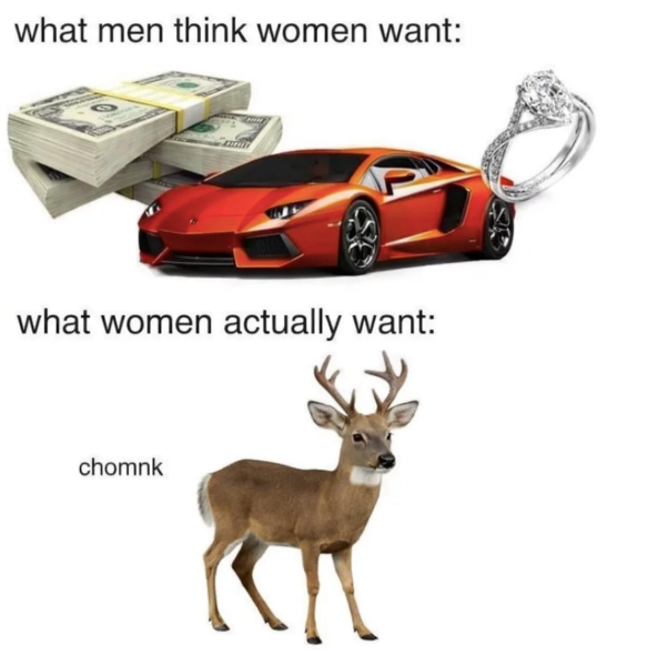 what men think women want: what women actually want: chomnk