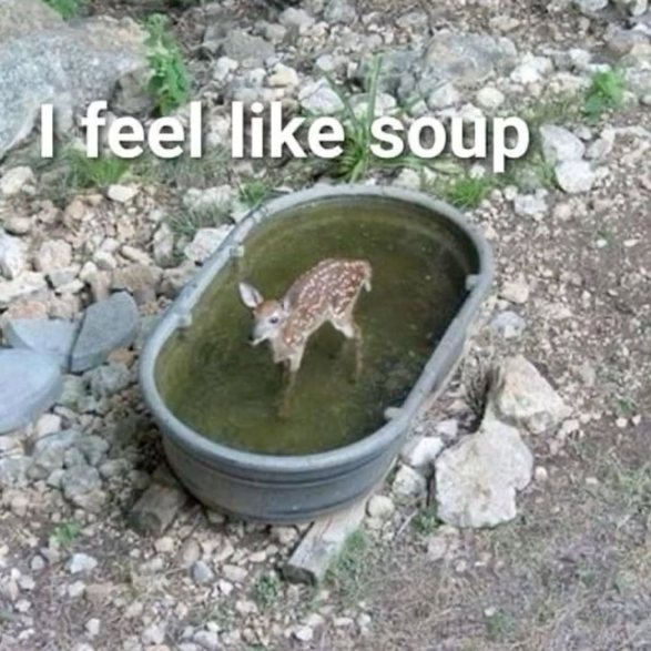 I feel like soup