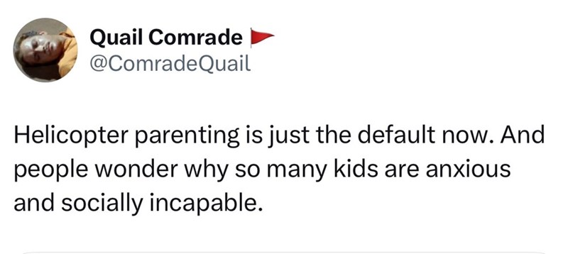 Quail Comrade @ComradeQuail Helicopter parenting is just the default now. And people wonder why so many kids are anxious and socially incapable.