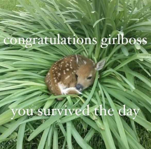 congratulations girlboss you survived the day