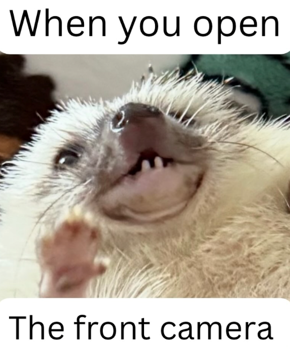 When you open The front camera