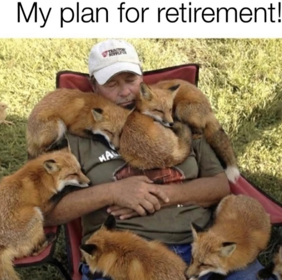 My plan for retirement! TRACY HA