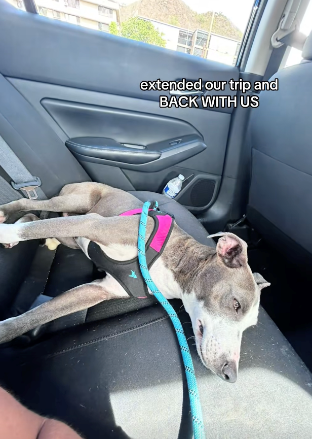 extended our trip and BACK WITH US