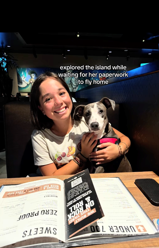 APPS UNDER 700 STARTERS MAINS THIS Y WE BARD ON ROCK & ROLL NOW STR SWEETS ZERO PROOF waiting for her paperwork explored the island while to fly home MOCKTAILS BECOME A APP AND FREE P