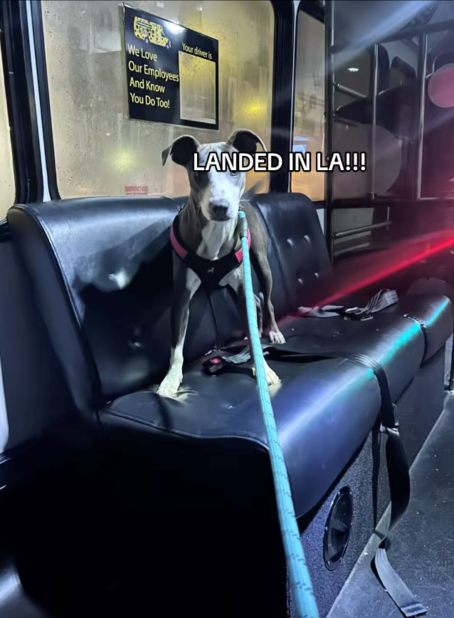 We Love Your driver is Our Employees And Know You Do Too! LANDED IN LA!!!