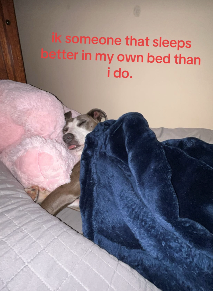 ik someone that sleeps etter in my own bed than i do.