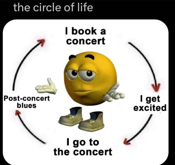 the circle of life I book a concert Post-concert blues I go to the concert I get excited