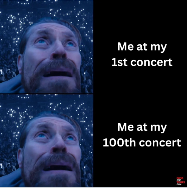 Me at my 1st concert Me at my 100th concert GIGS AND TOURS .COM