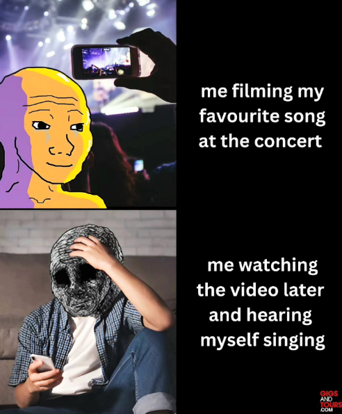 me filming my favourite song at the concert me watching the video later and hearing myself singing GIGS AND TOURS COM