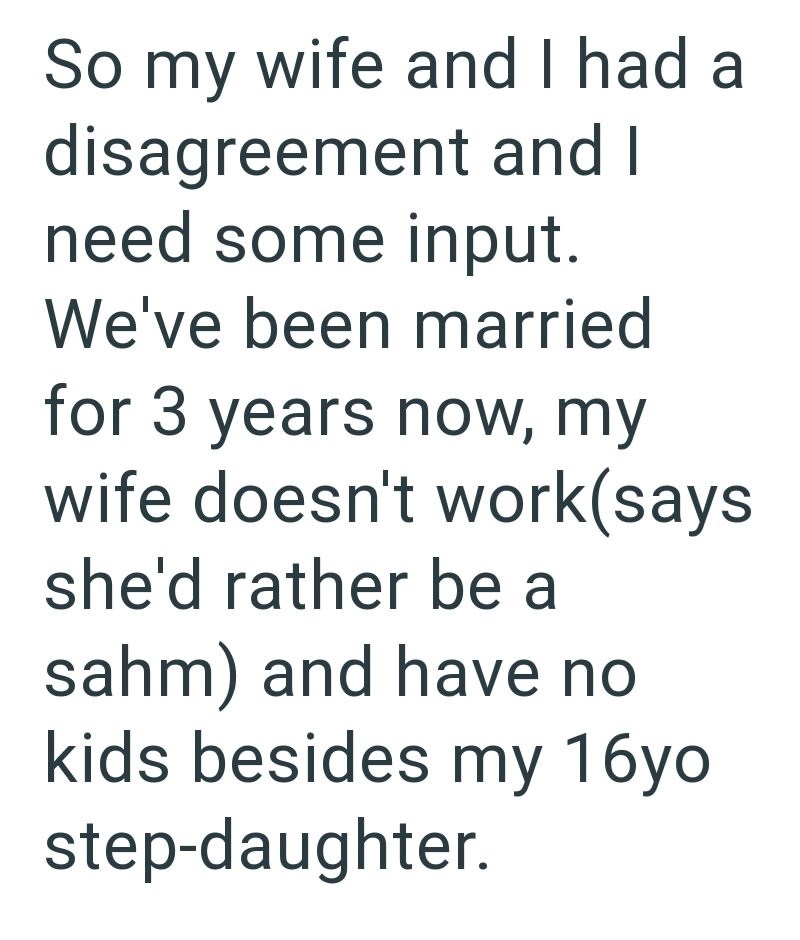 So my wife and I had a disagreement and I need some input. We've been married for 3 years now, my wife doesn't work(says she'd rather be a sahm) and have no kids besides my 16yo step-daughter.