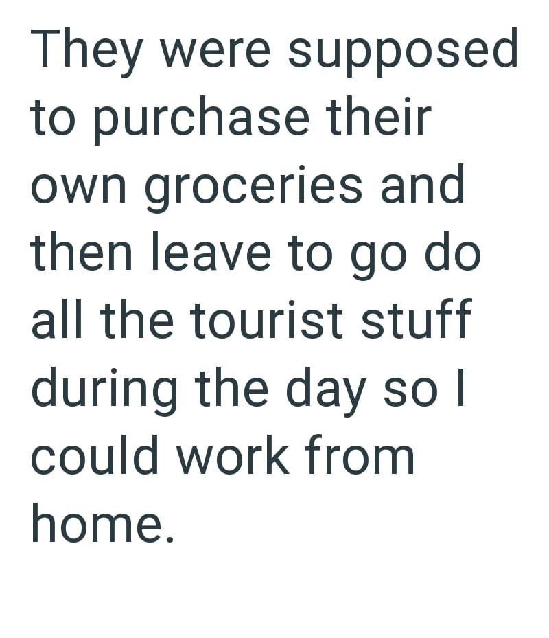 They were supposed to purchase their own groceries and then leave to go do all the tourist stuff during the day so I could work from home.