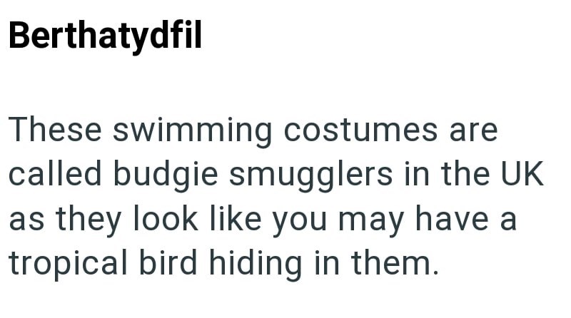 Berthatydfil These swimming costumes are called budgie smugglers in the UK as they look like you may have a tropical bird hiding in them.