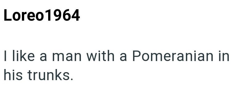 Loreo1964 I like a man with a Pomeranian in his trunks.