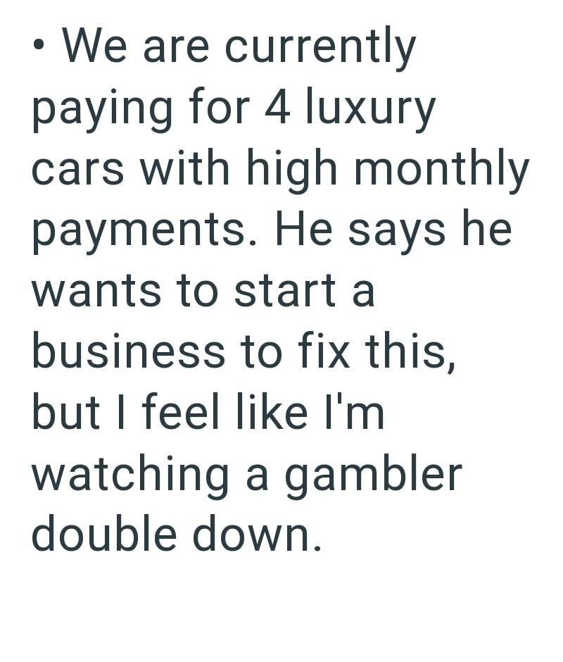 We are currently paying for 4 luxury cars with high monthly payments. He says he wants to start a business to fix this, but I feel like I'm watching a gambler double down.