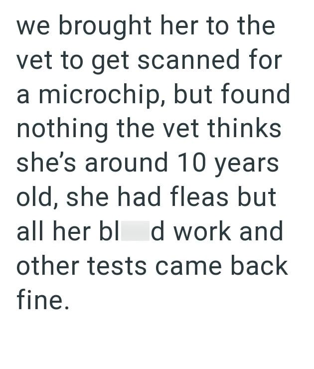 we brought her to the vet to get scanned for a microchip, but found nothing the vet thinks she's around 10 years old, she had fleas but all her bld work and other tests came back fine.
