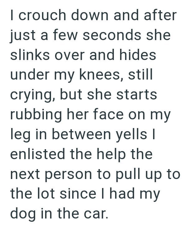I crouch down and after just a few seconds she slinks over and hides under my knees, still crying, but she starts rubbing her face on my leg in between yells I enlisted the help the next person to pull up to the lot since I had my dog in the car.