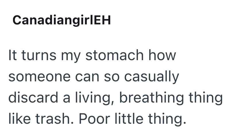 CanadiangirlEH It turns my stomach how someone can so casually discard a living, breathing thing like trash. Poor little thing.