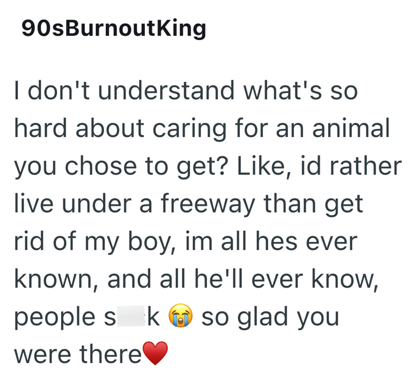 90sBurnoutKing I don't understand what's so hard about caring for an animal you chose to get? Like, id rather live under a freeway than get rid of my boy, im all hes ever known, and all he'll ever know, people s kso glad you were there