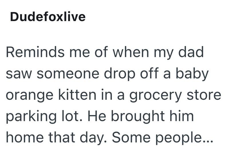 Dudefoxlive Reminds me of when my dad saw someone drop off a baby orange kitten in a grocery store parking lot. He brought him home that day. Some people...