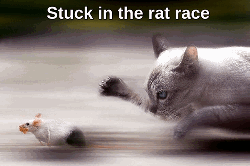 Cheezburger Image 10622025472