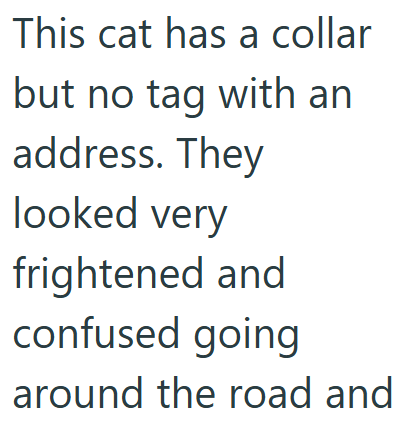 This cat has a collar but no tag with an address. They looked very frightened and confused going around the road and