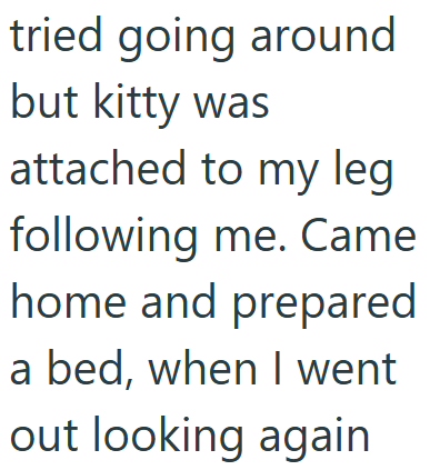 tried going around but kitty was attached to my leg following me. Came home and prepared a bed, when I went out looking again