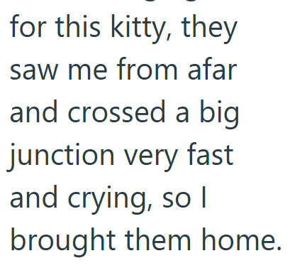 for this kitty, they saw me from afar and crossed a big junction very fast and crying, so I brought them home.