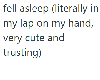 fell asleep (literally in my lap on my hand, very cute and trusting)