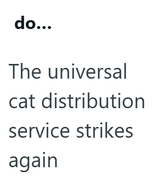 do... The universal cat distribution service strikes again